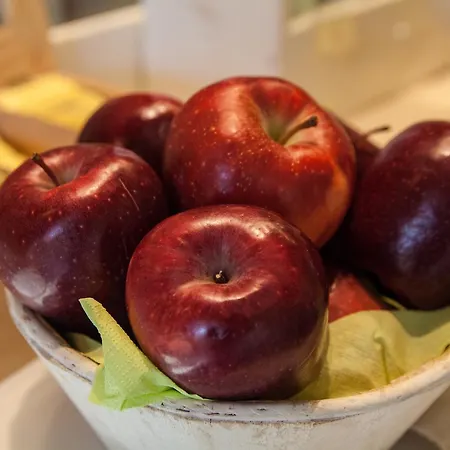 Hotel Spluga Sosta &